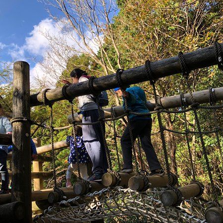 六甲山フィールド アスレチック